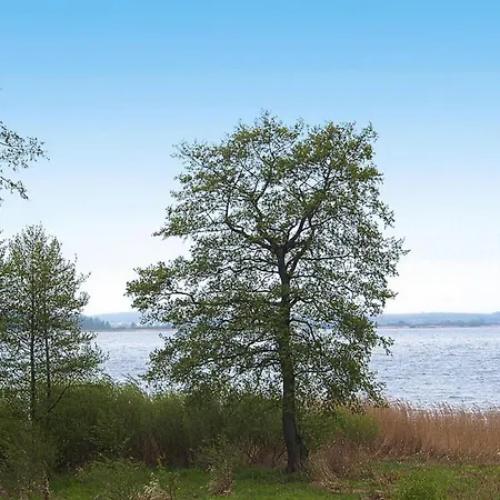 Im Seedomizil Kummerow (Mecklenburgische Seenplatte)